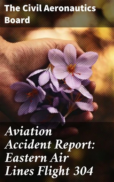 Aviation Accident Report: Eastern Air Lines Flight 304: Enriched edition. Insights into Airline Safety and Accident Investigation
