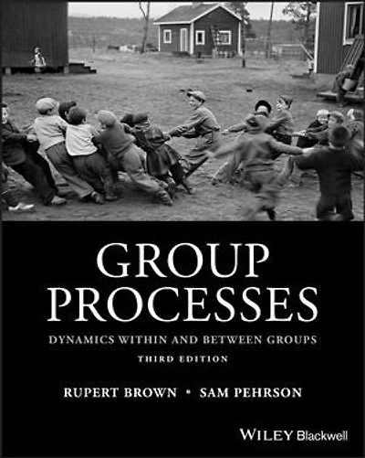 Group Processes: Dynamics Within And Between Groups