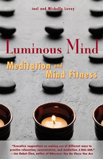 Luminous Mind: Meditation And Mind Fitness