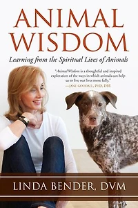 Animal Wisdom: Learning From The Spiritual Lives Of Animals