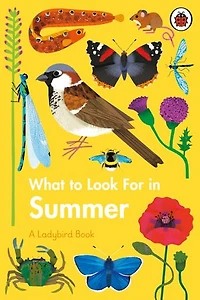 What to Look For Summer
