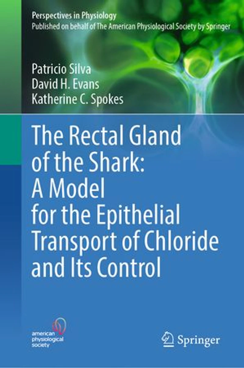 the Rectal Gland of Shark: A Model for Epithelial Transport Chloride and Its Control