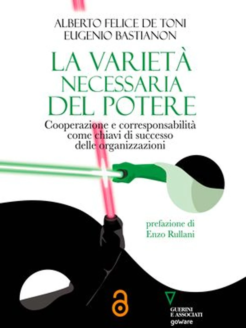 La varietà necessaria del potere: Cooperazione e corresponsabilità come chiavi di successo delle organizzazioni