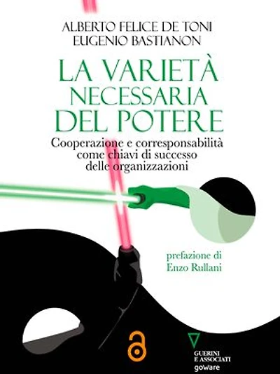 La varietà necessaria del potere: Cooperazione e corresponsabilità come chiavi di successo delle organizzazioni