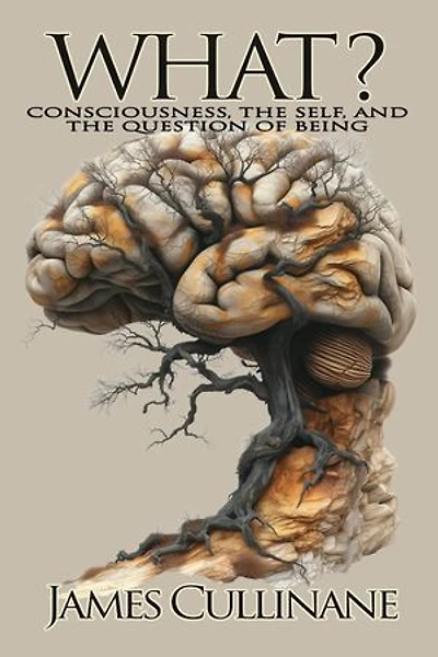 What?: Consciousness, the Self, and the Question of Being