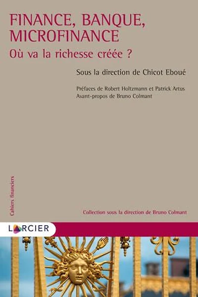 Finance, banque, microfinance: où va la richesse créée ?