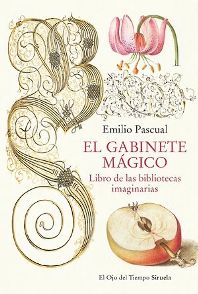 El gabinete mágico: Libro de las bibliotecas imaginarias