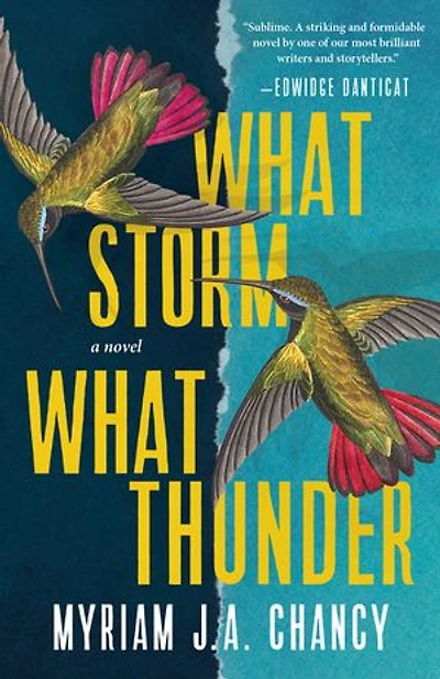 WHAT STORM THUNDER: A Novel