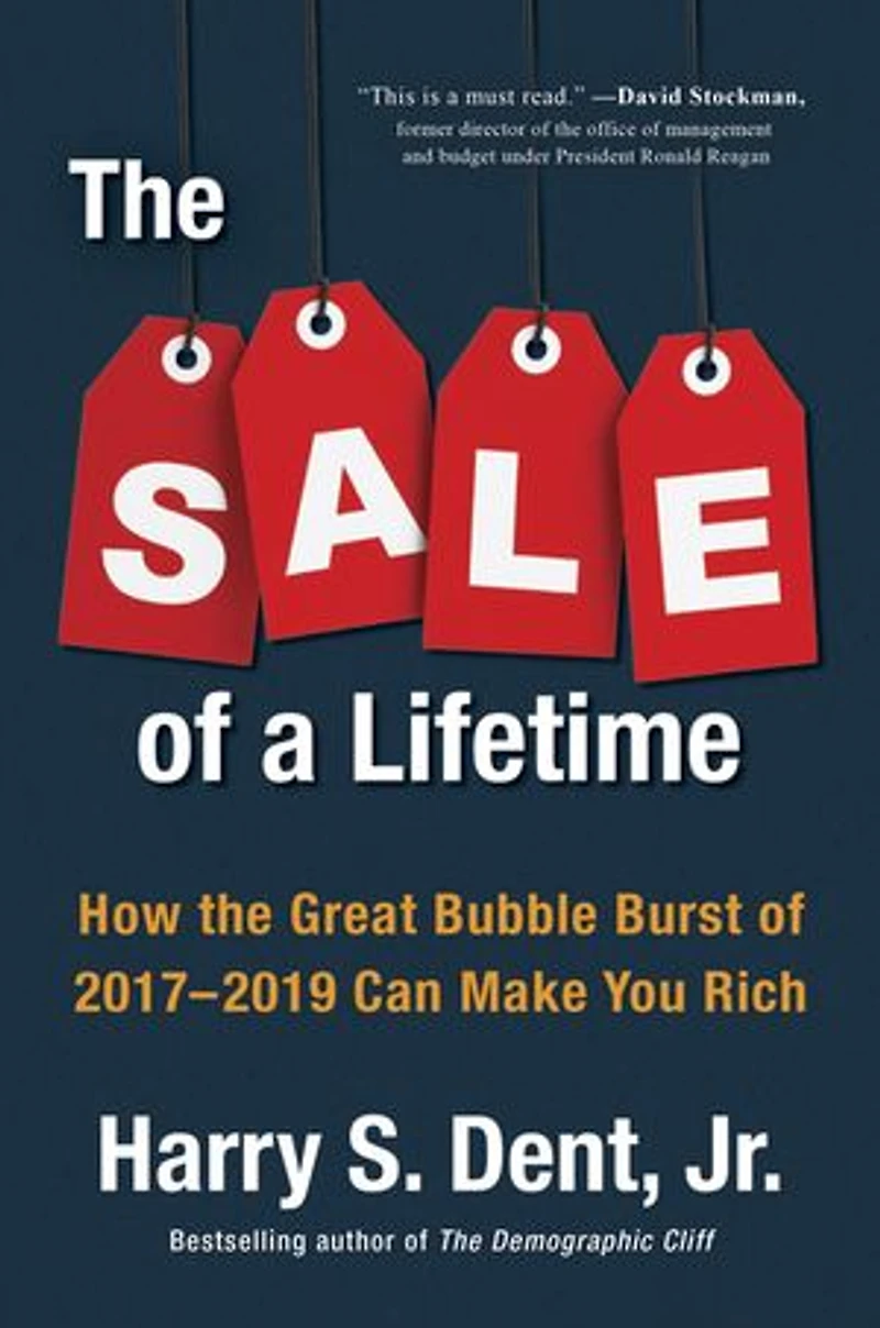 the Sale of a Lifetime: How Great Bubble Burst 2017-2019 Can Make You Rich