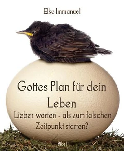Gottes Plan für dein Leben: Lieber warten - als zum falschen Zeitpunkt starten?