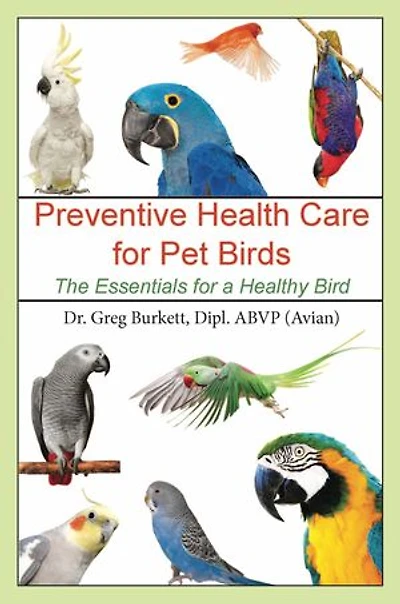 Preventative Health Care for Pet Birds: The Essentials a Healthy Bird