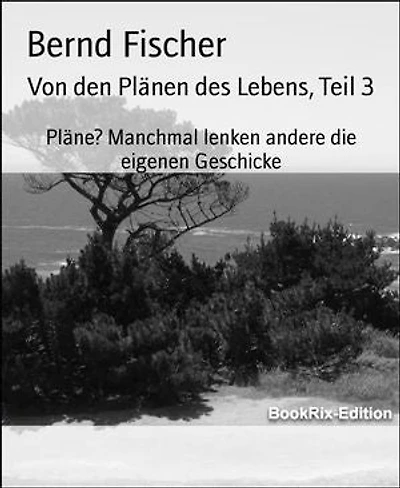Von den Plänen des Lebens, Teil 3: Pläne? Manchmal lenken andere die eigenen Geschicke