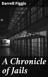 A Chronicle of Jails: Enriched edition. Exploring the Depths of the Penal System in Early 20th Century Ireland