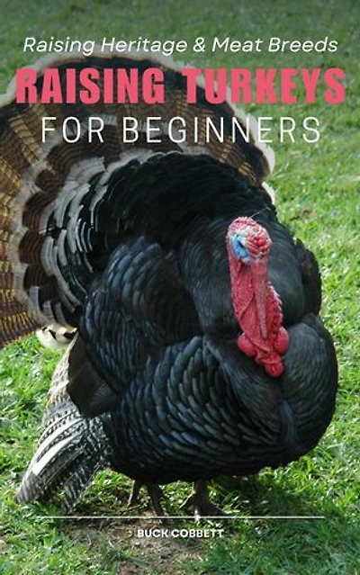 Raising Turkeys for Beginners: Raising Heritage & Meat Breeds
