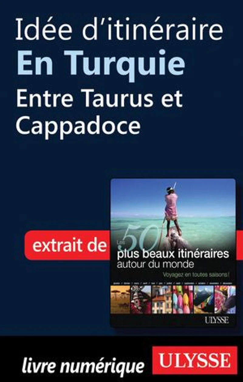 50 PLUS BEAUX ITINÉRAIRES AUTOUR DU MONDE (LES)