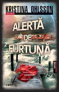 Alertă de furtună (Vol. 1 din seria SRINDBERG)