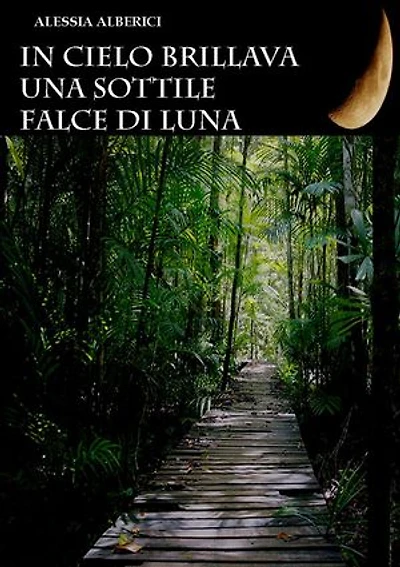 In cielo brillava una sottile falce di luna