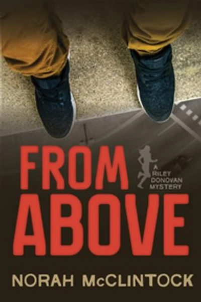 From Above: A Riley Donovan mystery