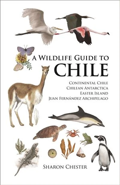 A Wildlife Guide to Chile: Continental Chile, Chilean Antarctica, Easter Island, Juan Fernández Archipelago