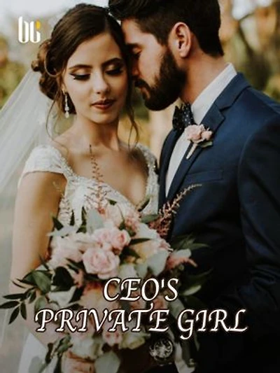 CEO's Private Girl: Volume