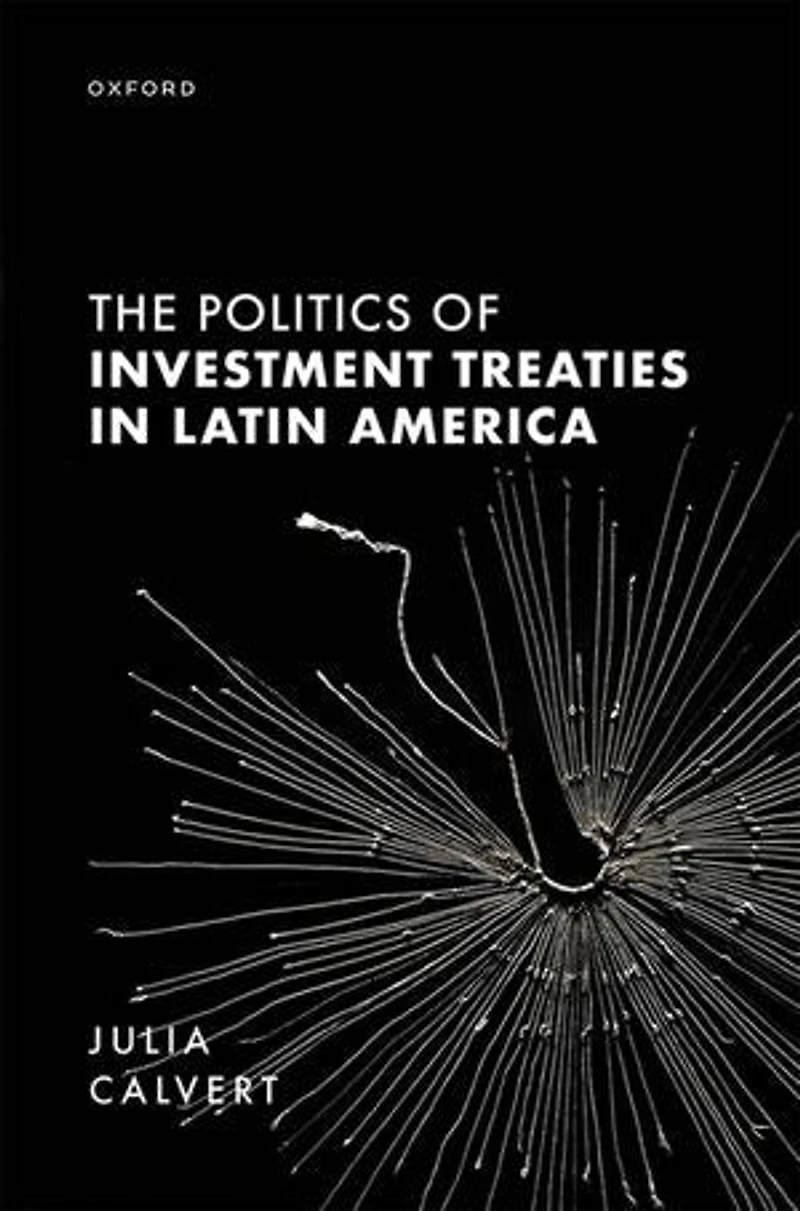 The Politics Of Investment Treaties Latin America