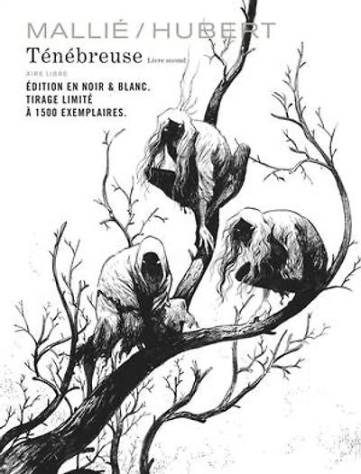 Ténébreuse, Vol. 2