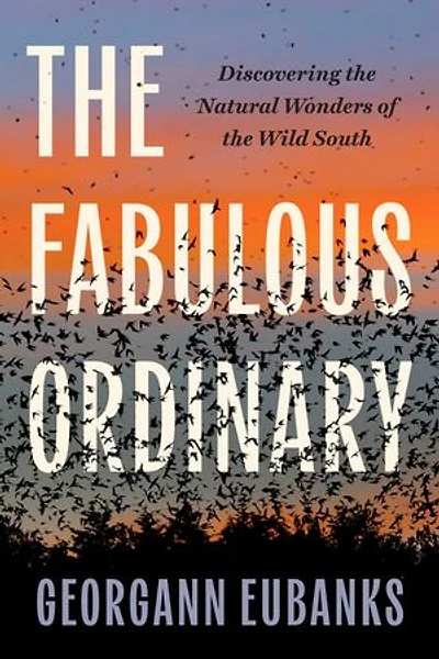 the Fabulous Ordinary: Discovering Natural Wonders of Wild South