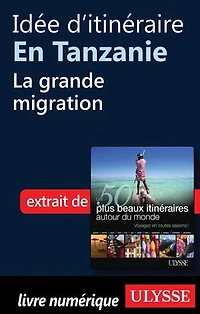 50 PLUS BEAUX ITINÉRAIRES AUTOUR DU MONDE (LES)