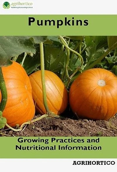 Pumpkin: Growing Practices and Nutritional Information