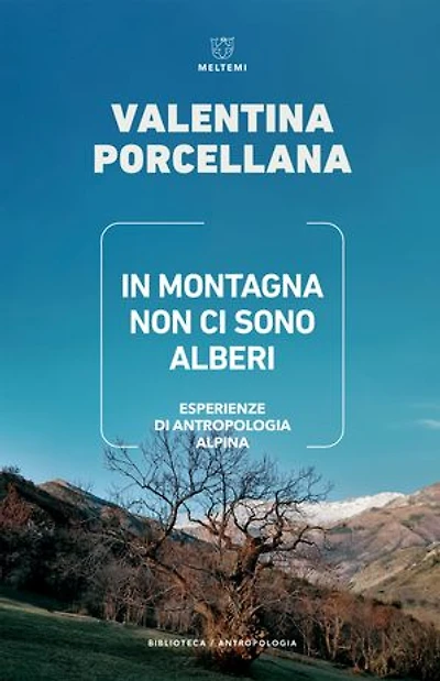 In montagna non ci sono alberi: Esperienze di antropologia alpina
