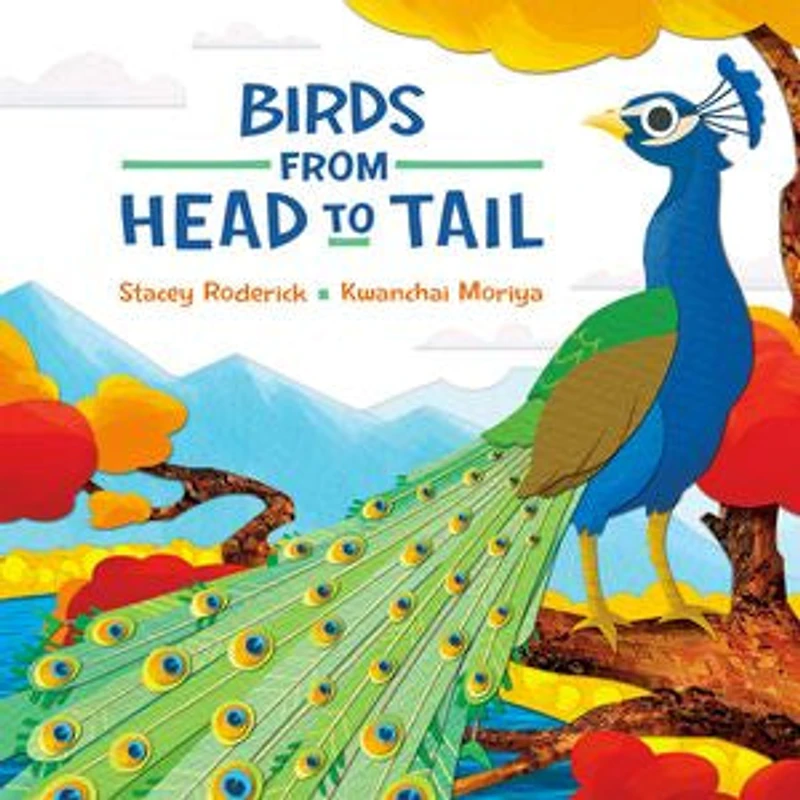 Birds From Head To Tail
