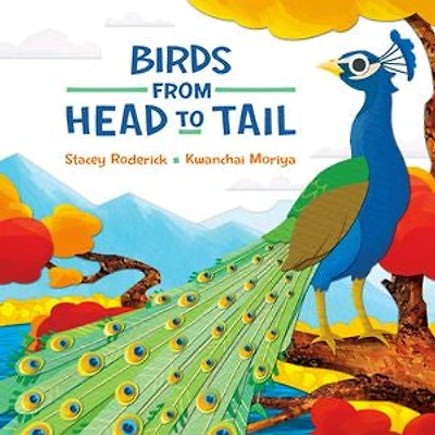 Birds From Head To Tail