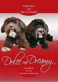 Dolce und Dreamy: Ein Halleluja für zwei kubanische Wirbelwinde