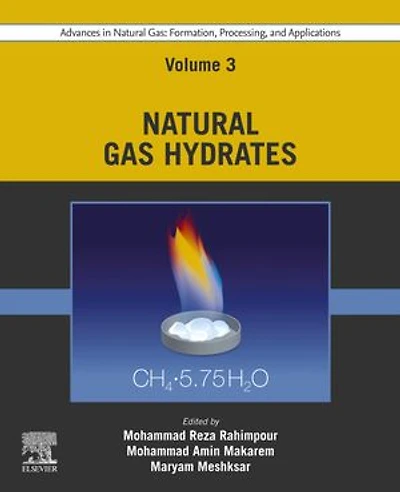 Advances Natural Gas: Formation, Processing, and Applications. Volume 3: Gas Hydrates