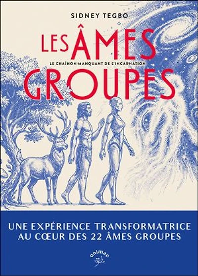 Les âmes groupes: le chaînon manquant de l'incarnation