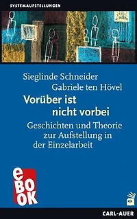 Vorüber ist nicht vorbei: Geschichten und Theorie zur Aufstellung in der Einzelarbeit