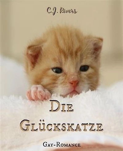 Die Glückskatze: Gay Romance