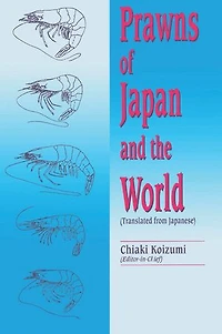 Prawns of Japan and the World
