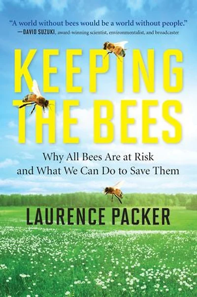 Keeping The Bees: Why All Bees Are At Risk And What We Can Do To