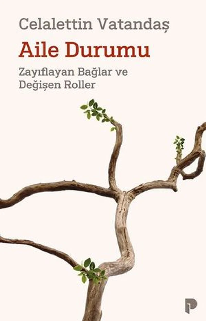 Aile Durumu - Zayıflayan Bağlar ve Değişen Roller