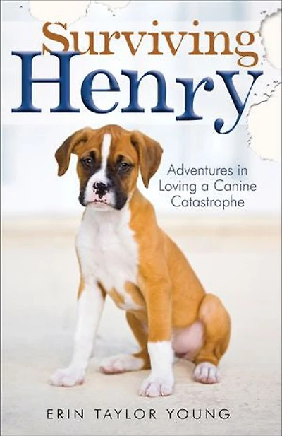 Surviving Henry: Adventures Loving a Canine Catastrophe
