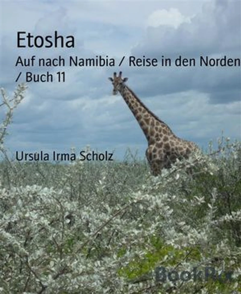 Etosha: Auf nach Namibia / Reise in den Norden / Buch 11