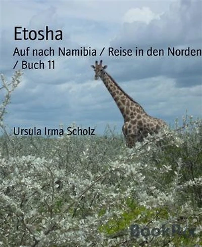 Etosha: Auf nach Namibia / Reise in den Norden / Buch 11