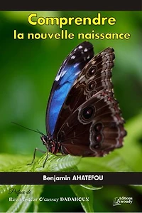 Comprendre la nouvelle naissance: Essai
