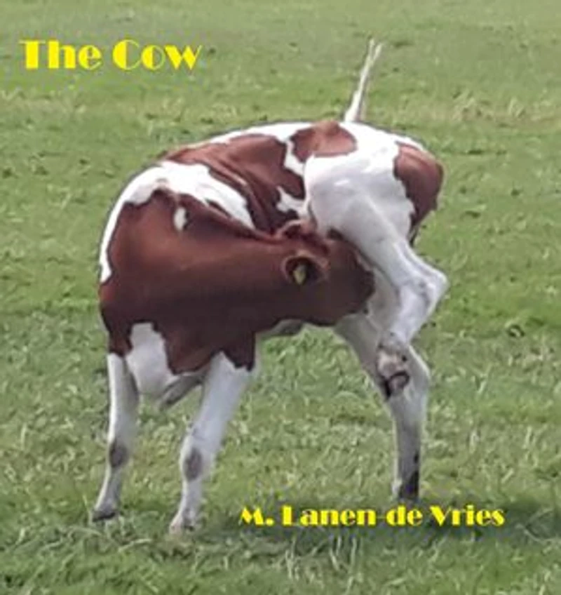The Cow: a collection of short stories