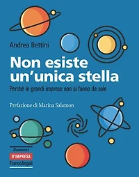 Non esiste un'unica stella.: Perchè le grandi imprese non si fanno da sole