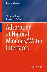 Adsorption at Natural Minerals/Water Interfaces