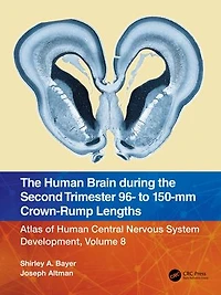 the Human Brain during Second Trimester 96- to 150-mm Crown-Rump Lengths: Atlas of Central Nervous System Development, Volume 8
