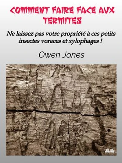 Comment Faire Face Aux Termites: Ne Laissez Pas Votre Propriété À Ces Petits Insectes Voraces Et Xylophages !