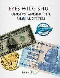 Eyes Wide Shut: Understanding the Global System